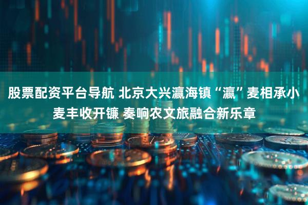 股票配资平台导航 北京大兴瀛海镇“瀛”麦相承小麦丰收开镰 奏响农文旅融合新乐章